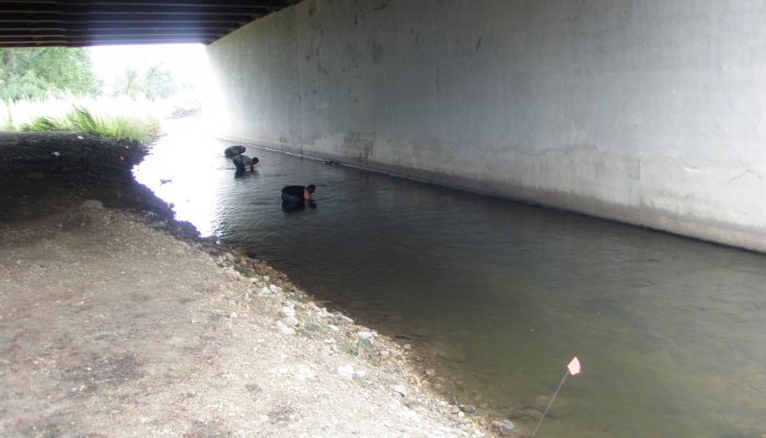 surveys under bridge